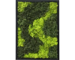 Comforder Mosschilderij - Moswand van Rendiermos - Onderhoudsvrije Muurdecoratie - Rechthoek 38x27cm - Valentijn Cadeau