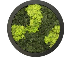 Comforder Mosschilderij - Moswand van Rendiermos - Onderhoudsvrije Wanddecoratie Hout Natuurlijk - Rond Ø27cm