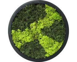 Comforder Mosschilderij - Moswand van Rendiermos - Onderhoudsvrije Wanddecoratie Hout Natuurlijk - Rond Ø38cm - Moederdag Cadeautje