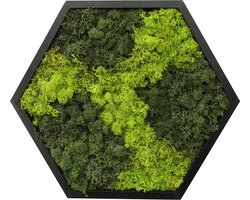 Comforder Mosschilderij - Moswand van Rendiermos - Onderhoudsvrije Wanddecoratie Hout Natuurlijk - Zeshoek 38cm - Valentijn Cadeau