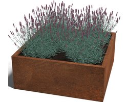 Cortenstaal plantenbak Miami - Vierkant - 100x100x30cm - Roestkleur - Zonder bodem - MySteel