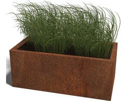 Cortenstaal plantenbak Texas - Rechthoek - 100x50x60cm - Roestkleur - Zonder bodem - MySteel