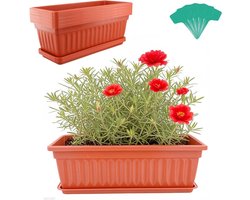 Cosensi - Rode rechthoekige kunststof bloembak - 6 stuks - Inclusief trays en 30 groene etiketten - Voor vensterbank, terras en tuin - Woondecoratie - Veranda - 43 cm