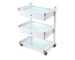Cosmetic Table With 3 Shelves And 2 Drawers | Verrijdbare Werktafel Voor Tattoo PMU En Beauty | Mobiele Trolley Met Opbergruimte Voor Tools Supplies En Apparatuur | Geschikt Voor Salon Behandelruimte Shop En Creatieve Studio | Dagelijks Gebruik