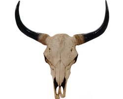 Cosmo Casa Deko Schedel 45cm - Polyresin Stier Bulle Longhorn Hoofd Trofee - Binnen - Buitenshuis - Natuurlijk gekleurd