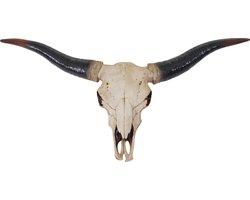 Cosmo Casa Deko Schedel 75cm - Polyresin Stier Bulle Longhorn Hoofd Trofee - Binnen - Buitennatuur