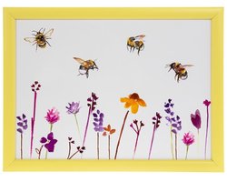 Cosy Creations- Laptray - Schoottafel - Schootkussen - Laptoptafel - Dienblad met kussen - BUSY BEES 44 x 33 x 6.5 cm