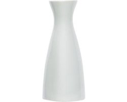 Cosy & Trendy Ofanto vaasje wit d6xh13.5cm