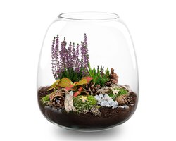 Cosy Winter terrarium - Planten terrarium met kurk - DIY kit Christmas - Ø 23 cm ↑ 25 cm