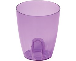 Coubi Orchidee Transparante Pot Paars 16cm