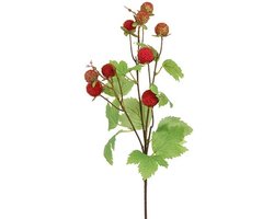 Countryfield Frambozenbloesem Kunsttak 2 stuks 71 cm – Rode Kunstbloem