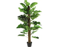 Countryfield kunstplant Monstera L