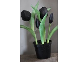 Countryfield zwarte kunsttulpen in een potje