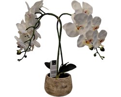 Cozy Maison Kunst-Orchidee in Pot – Wit – 40 cm – Realistische Bloemen – Onderhoudsvrije Kamerplant – Cementen Pot