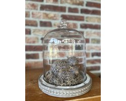 Creaties van hier – met houten hartje - Glazen stolp met 2 stenen Hooglanders en Tillandsia - 26x23cm
