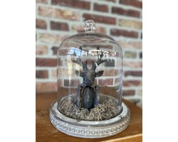 Creaties van hier – met houten hartje - Glazen stolp met stenen Hertje en Tillandsia - 26x23cm