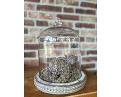 Creaties van hier – met houten hartje - Glazen stolp met Stenen Hooglander en Tillandsia - 26x23cm