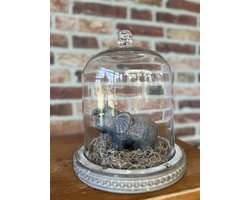 Creaties van hier – met houten hartje - Glazen stolp met Stenen Olifantje en Tillandsia - 26x23cm