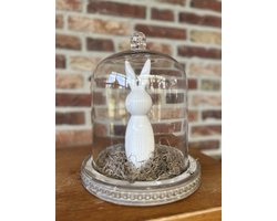 Creaties van hier – met houten hartje - Glazen stolp op houten plateau met haasje wit en Tillandsia - 26x23cm