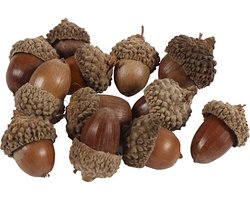 Creativ Company Eikels – Natuurlijke Decoratie – 15-20 mm – 12 Stuks – Naturel