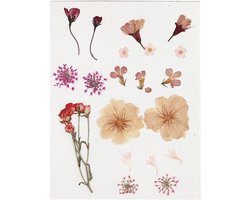Creativ Company Gedroogde Bloemen en Bladeren 19 stuks Lichtroze