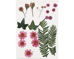 Creativ Company Gedroogde Bloemen en Bladeren 19 stuks Roze