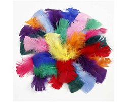 Creativ Company Gekleurde Veren 50 gr