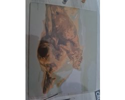 Crelando Schilderen op nummer Slapend hondje en poes 40x50cm
