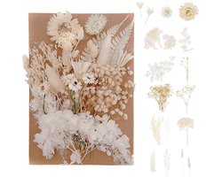 Crrynuo - Gedroogde Bloemen Set - DIY Handgemaakte Accessoires - Natuurlijke Bloemen - Huisdecoratie - 15,5 x 10,5 x 3 cm-wit
