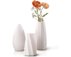 CSGoods - Set van 3 keramische vazen in Scandinavische stijl voor pampasgras en bloemen - Moderne woondecoratie