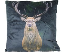 D- Unique Living | Kussen AW2020 Print 45x45cm dessin 1 | Kussen woonkamer of slaapkamer