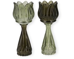 Daan Kromhout - Waxine houders - Kaarsenhouders - Set van 2 - Tulp - Glas - Groen Mix - 7x18cm