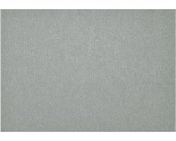 Daff Fiberixx Placemat - Gerecycled Materiaal - 31x42 cm - Licht grijs