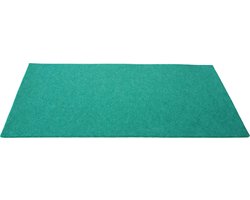 Daff Fiberixx Placemat - Gerecycled Materiaal - 31x42 cm - Turquoise