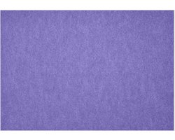 Daff Fiberixx Placemat - Gerecycled Materiaal - 31x42 cm - Viola