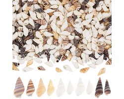 Dailygoods - Doos met 400 Stuks Kleine Spiraal Schelpen voor Decoratie