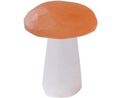 Dailygoods- Gips Paddestoel Natuurlijke Decoratie - Wooninrichting - Bureaudecoratie - Feng Shui - Meditatie - Diameter 4-5cm