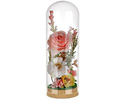 Dailygoods- Glazen Koepel 230 mm Hoog - Decoratieve Stolp - Kurken Voet - Voor Bloemen/Planten - Woondecoratie - Hoogwaardig Glas