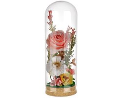 Dailygoods- Glazen Koepel 230 mm Hoog - Decoratieve Stolp - Kurken Voet - Voor Bloemen/Planten - Woondecoratie - Hoogwaardig Glas
