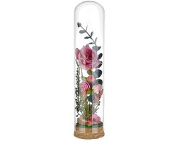 Dailygoods- Glazen Stolp - Decoratieve Stolpen - Kurken Voet - Voor Bloemen/Planten - Hoogte 260 mm - Duurzaam Glas - Glazen Koepel