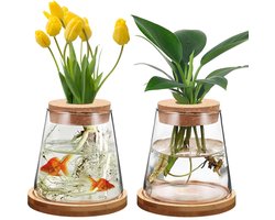 Dailygoods - Hydrocultuur plantenvazen - Glazen vaas met voet - Uniek ontwerp - Transparant - Decoratie voor huis en kantoor - Set van 2