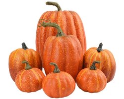 Dailygoods- Kunstmatige Pompoenen Set 7 Stuks - Nep Schuim Pompoenen - Herfst Decoratie - Halloween Decoratie - Woondecoratie - Hoogwaardig Materiaal - Neppompoenen