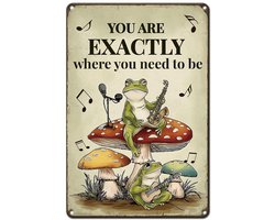 Dailygoods- Metalen Bord Grappige Kikkers - Wanddecoratie Tuin - Wanddecoratie Balkon - Wanddecoratie Woonkamer - Muziekthema - 20 x 30 cm