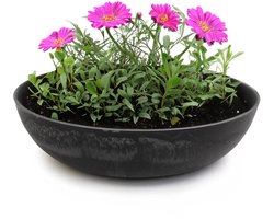 Dailygoods- Plantenbak weerbestendig - Ronde Plantenbak voor Buiten - Duurzaam Kunststof - Buikvormig Design - 30 x 9 cm - Ideaal voor Decoratie - Bloempot