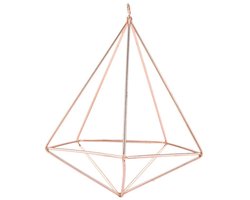 Dailygoods- Plantenpot Hoogwaardig Materiaal - Hangende Plantenstandaard - Bloem/Plant Houder - Robuust/Stevig - Ruimtebesparend - Ondersteuning voor Planten