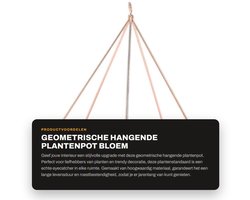 Dailygoods- Plantenpot Hoogwaardig Materiaal - Hangende Plantenstandaard - Bloem/Plant Houder - Robuust/Stevig - Ruimtebesparend - Ondersteuning voor Planten