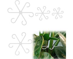 Dailygoods- Plantenstengelhouder 4 Stuks - Plantensteunen voor Klimplanten - Plantensteun metaal - Plantensteun kamerplant - Tuinaccessoires - Transparant 13,5 cm.