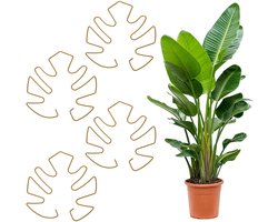 Dailygoods- Plantensteun Ronde Ring - Plantenhouder - Klimhulp - Plantensteunframe - 4 Stuks - Duurzaam IJzer