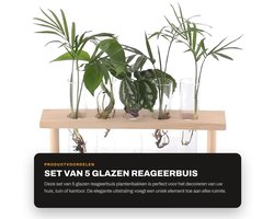 Dailygoods- Reageerbuis Glazen Vaas - Houten Standaard - Hydrocultuur Plantenbak - Decoratie voor Huis/Kantoor - Eenvoudig te Reinigen - Transparant Design - Plantenvaas