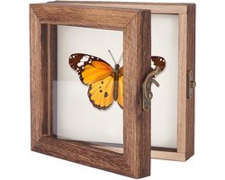 Dailygoods- Schaduwbox Houten Insectenvitrine - Opbergdoos voor Insectenmonsters - Transparante Bovenkant - 15 x 15 cm - Elegant Ontwerp